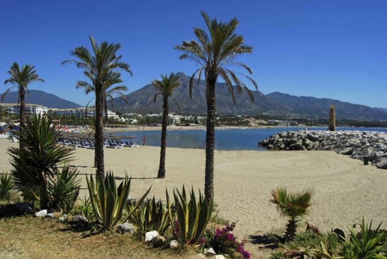 Renovado Apartamento 1 Dormitorio,Centro Marbella. Marbelsun Екстер'єр фото